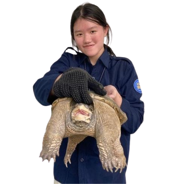 Maria Donna Miranda, S. Si.